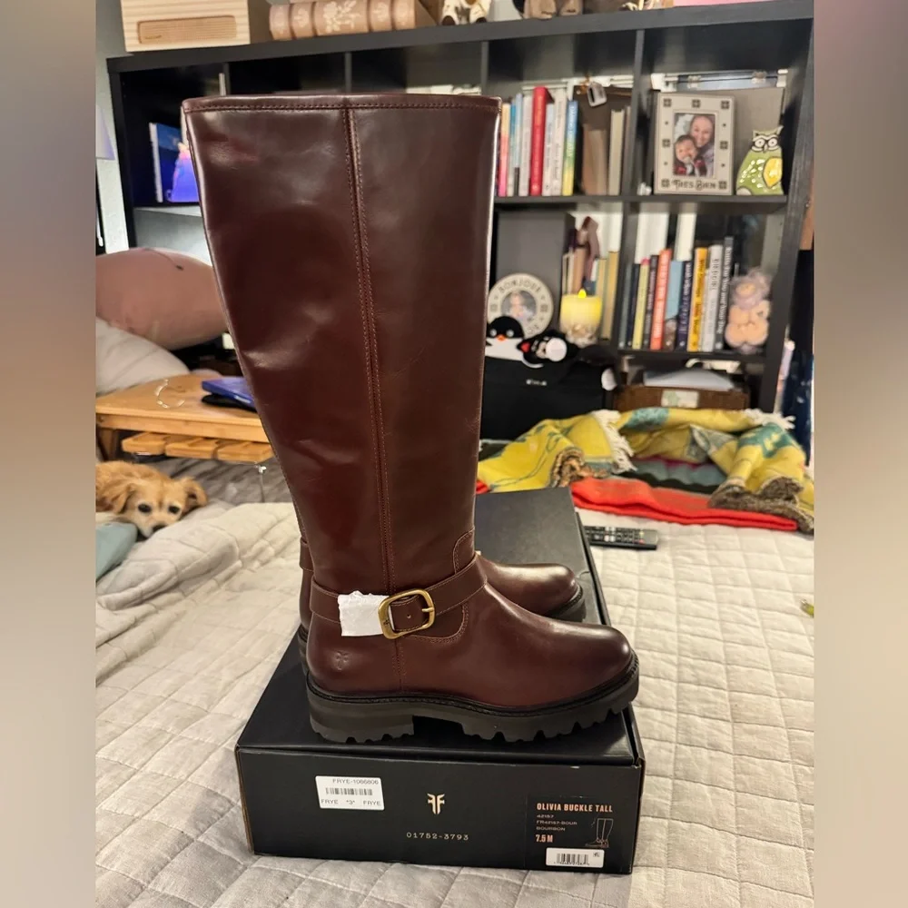 NWT in Box Frye Olivia Buckle Tall Boots - Bourbon (Deep Burgundy Brown)